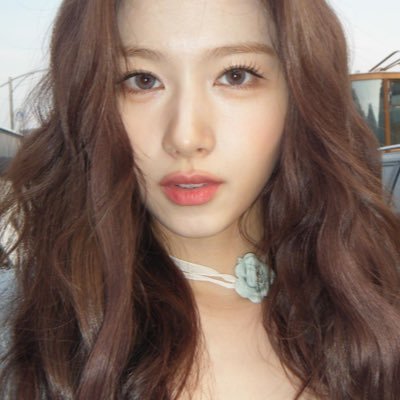 sana universe ₍⸍⸌̣ʷ̣̫⸍̣⸌₎'s profile picture