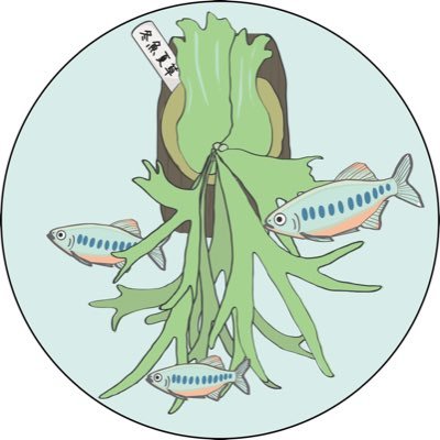 冬魚夏草【アクアとビカクが好きな人】's profile picture