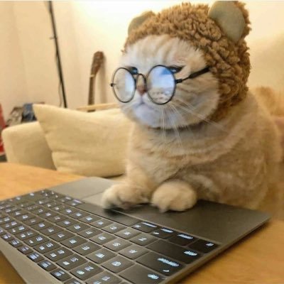nek0nekokko's profile picture