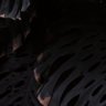 Feer's profile picture