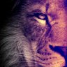 Profilbild von Major_Reap_N0KD