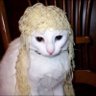 diaz's profile picture