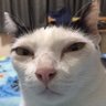 Munto profil fotoğrafı