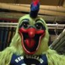 Profilbild von Pelicante