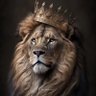 Фото профиля Sale
