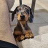 Profilbild von Lulus