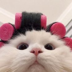 Heisu_1897's profile picture