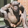 Apepolinario's profile picture