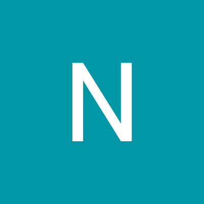 N is back's profile picture