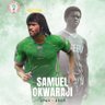 Nze Obidiegwu 的头像
