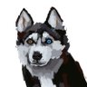 Profilbild von ハスキーボイス