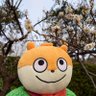 Profilbild von さえないりりぃ
