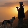 القردعي سام 的头像