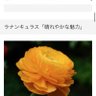 Фото профиля 瀬奈の唯一の弟子真マーコラル🫧
