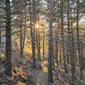 Фото профиля martintrad