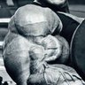 Profilbild von Musclefan