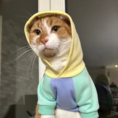 Mjinina's profile picture