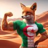 chamsou top profil fotoğrafı