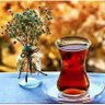 Çiçek profil fotoğrafı