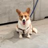 Dirac's profile picture