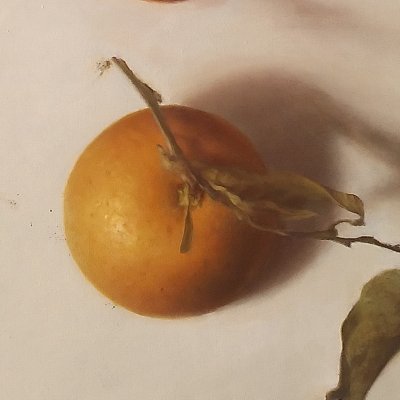 XUAhqCPELcQNiyj's profile picture
