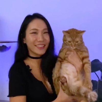 고양이 고도와 트찰라의 가족 찾는 김아람's profile picture