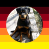 KoboldendeBaerbockBatterie 🇩🇪 🇦🇹 🇨🇭's profile picture