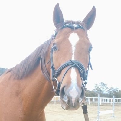 りおん's profile picture
