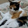 Фото профиля ママシータ🐱😾😺