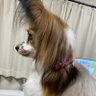 まさのり@マリン🦫's profile picture