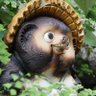 SupponEmperor profil fotoğrafı