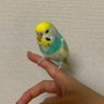 おたけ's profile picture