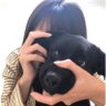 kihoy2k profil fotoğrafı