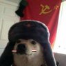 Фото профиля user