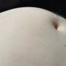 DaddyRenzy profil fotoğrafı