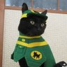 Profilbild von コスプレ猫のチョコラ(飼い主トラにゃん)