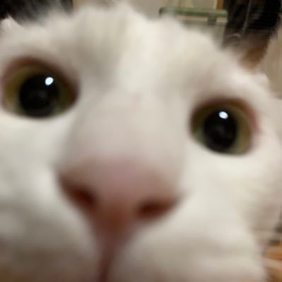 たか's profile picture