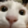 Profilbild von たか