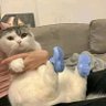EllaNoMeQuiere's profile picture