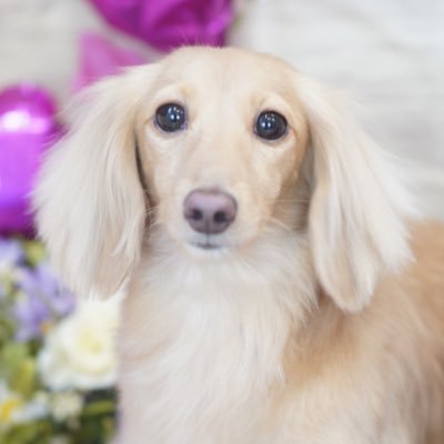 ちゃちゃ's profile picture