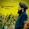 Profilbild von Mahmood Afghan