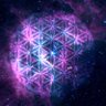 Allex 的头像