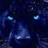 Profilbild von theblueinblack