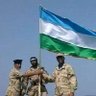 التهامي بن زبيد's profile picture