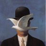nosellama's profile picture