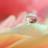 伊玖 profil fotoğrafı