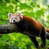 山吹's profile picture