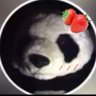 Фото профиля 🐼しのパンダ🐼