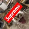 Фото профиля 猫戦士らちばいん