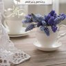 أبوعبدالله's profile picture